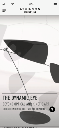 The dynamic eye mobile app screen 1